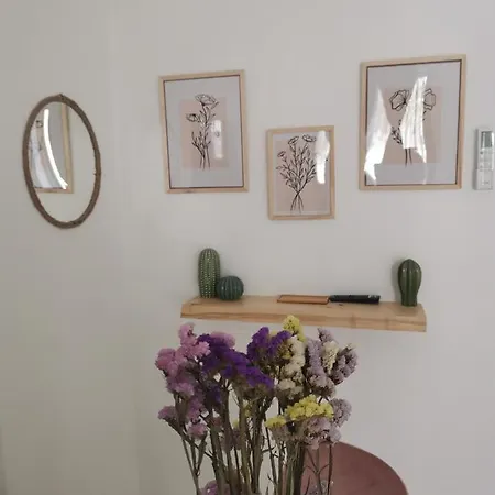 Levolte Appartement